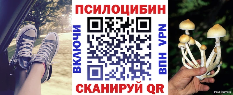Галлюциногенные грибы прущие грибы Терек